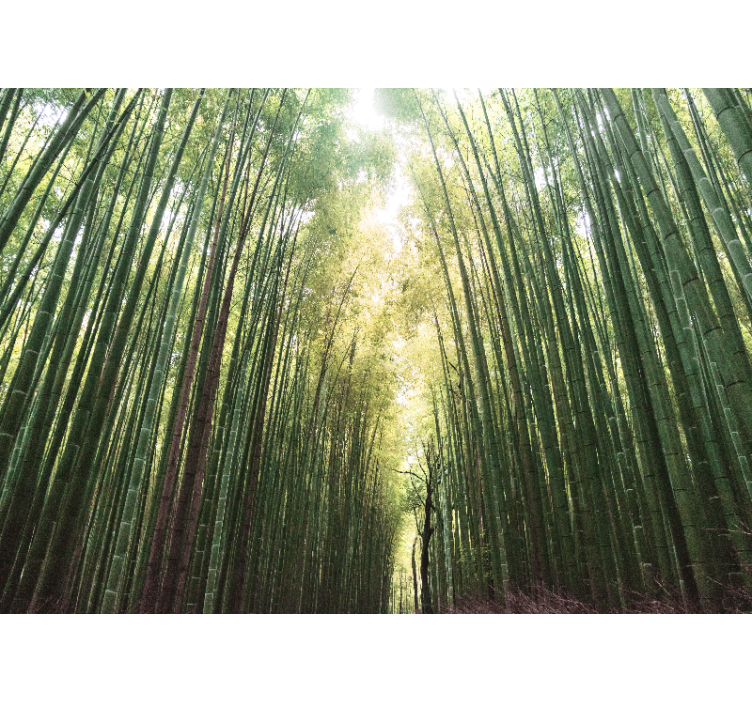 Persiana enrollable salón bosque de bambú zen - TenVinilo