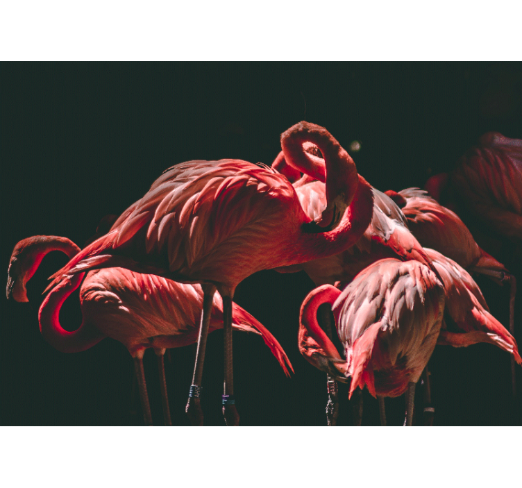 Persiana enrollable salón flamencos rosas iluminados - TenVinilo