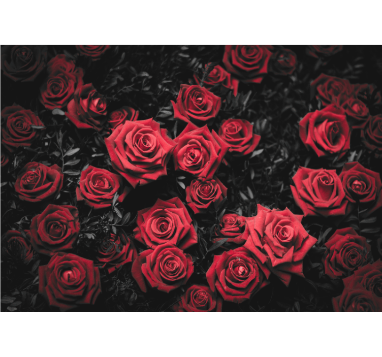 Persiana enrollable salón en blanco y negro con rosas rojas - TenVinilo