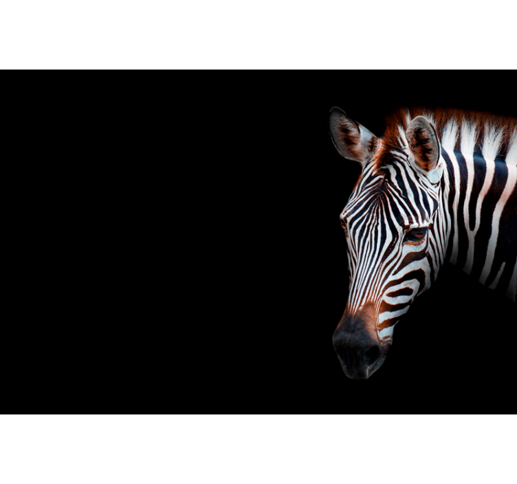 Persiana enrollable salón zebra imagen - TenVinilo