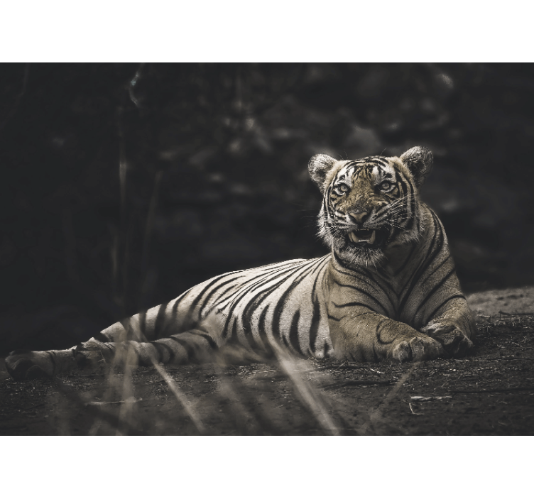 Persiana enrollable salón tigre tumbado - TenVinilo