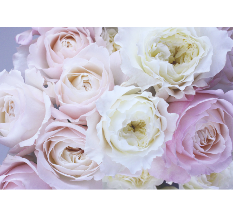 Persiana enrollable salón rosas diferentes en close up - TenVinilo