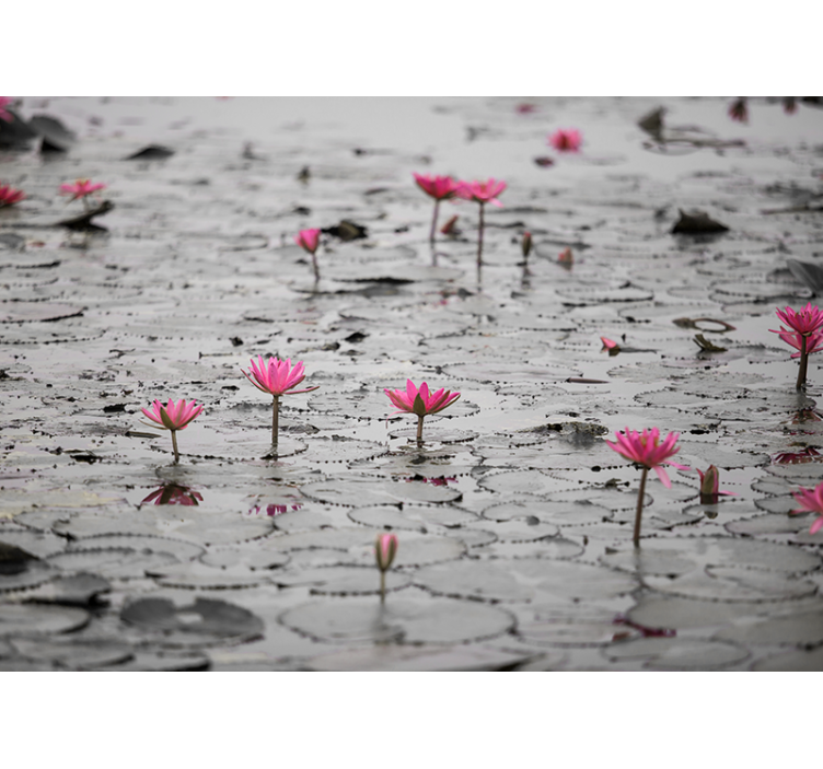 Persiana enrollable salón flores de loto en agua gris - TenVinilo