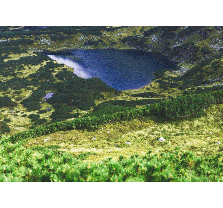 Persiana enrollable salón tatras verdes - TenVinilo