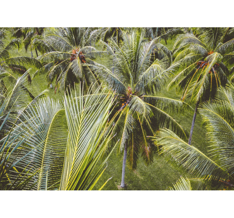 Persiana enrollable salón paisaje de palmeras verdes - TenVinilo