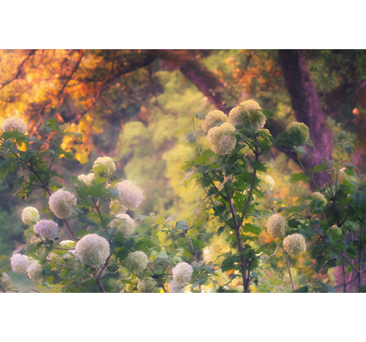 Persiana enrollable salón amanecer campestre - TenVinilo