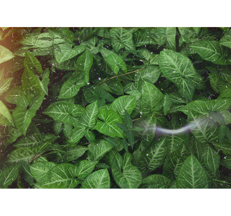 Persiana enrollable salón hojas verdes soleadas - TenVinilo
