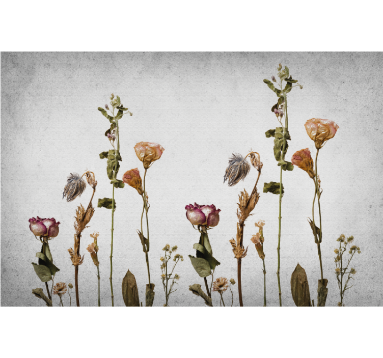 Persiana enrollable salón plantas secas estilo nórdico - TenVinilo