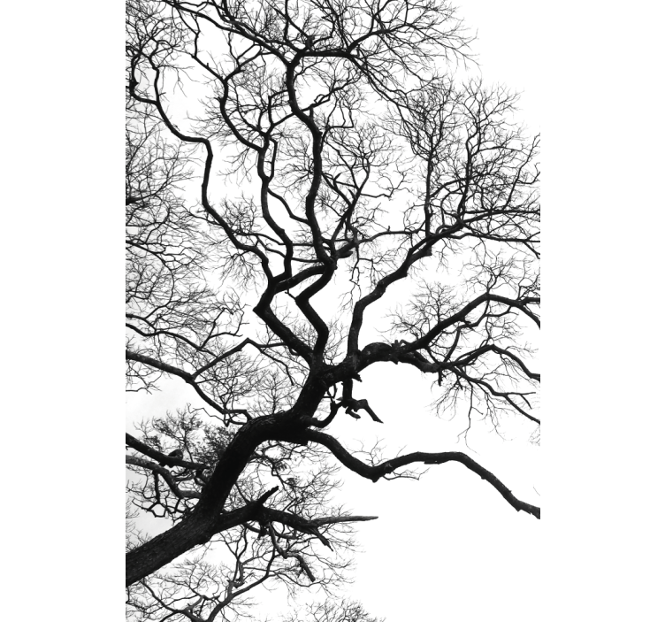 Estor dibujos Ruptura de una sola rama de madera - TenVinilo