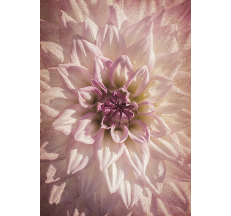 Persiana enrollable flores delicada floración - TenVinilo