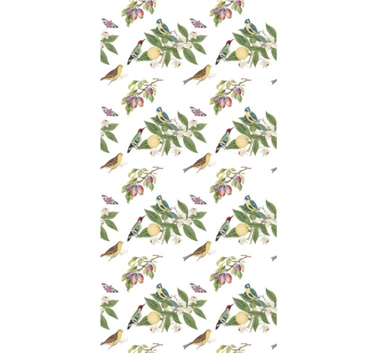 Estor animales Saqueadores de frutas en la naturaleza - TenVinilo