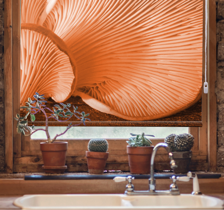 Persiana enrollable frutas branquias de champiñón - TenVinilo