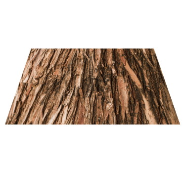 Individuales de mesa tonos corteza de árbol - TenVinilo