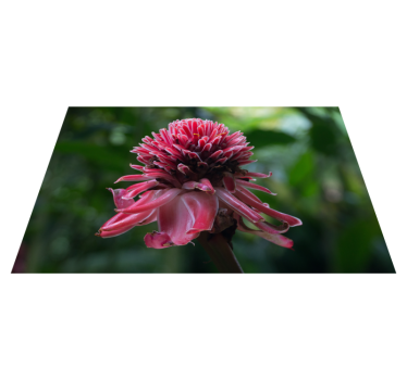 Mantel individual original arreglo floral tropical - TenVinilo