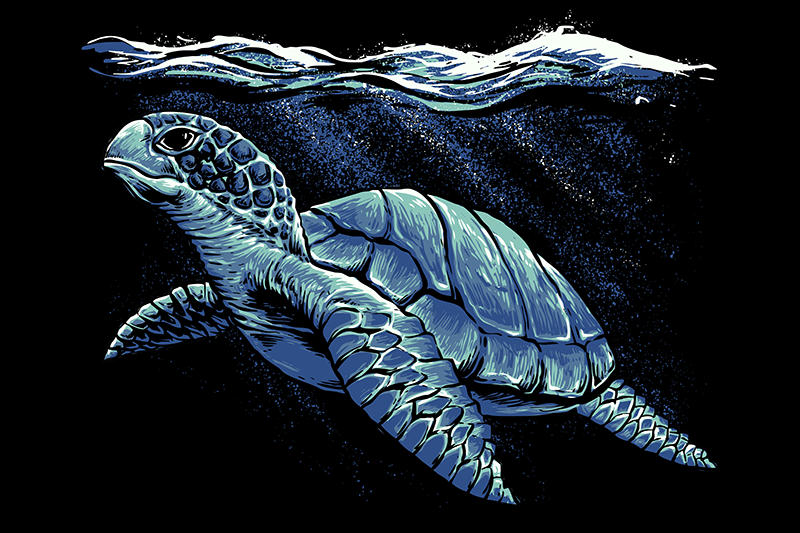 Mantel individual azul dibujo a mano de tortuga - TenVinilo