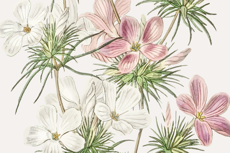 Manteles individuales elegantes Orquídeas sutiles - TenVinilo