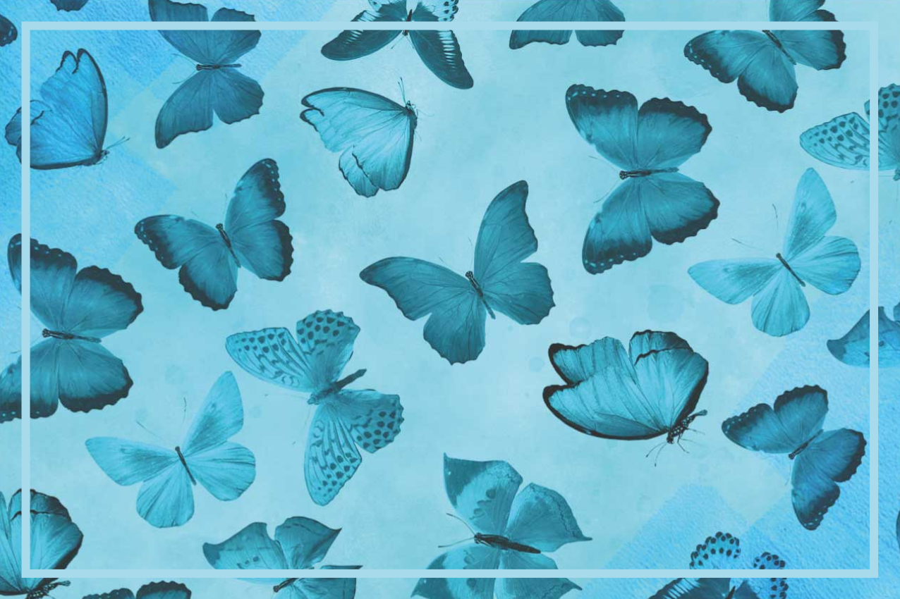 Mantel individual patrón mariposas - TenVinilo