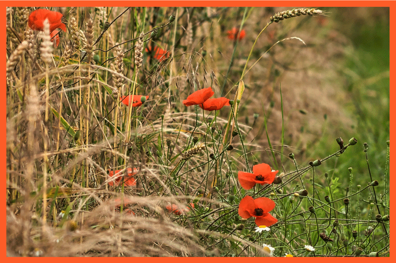 Mantel individual infantil disposición divertida de comida - TenVinilo