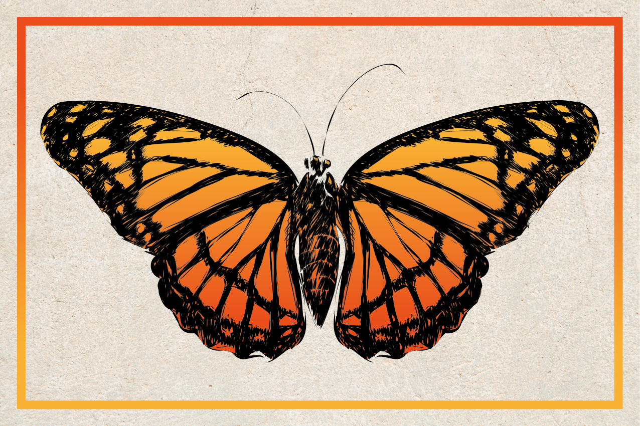 Mantel individual original mariposa monarca naranja - TenVinilo