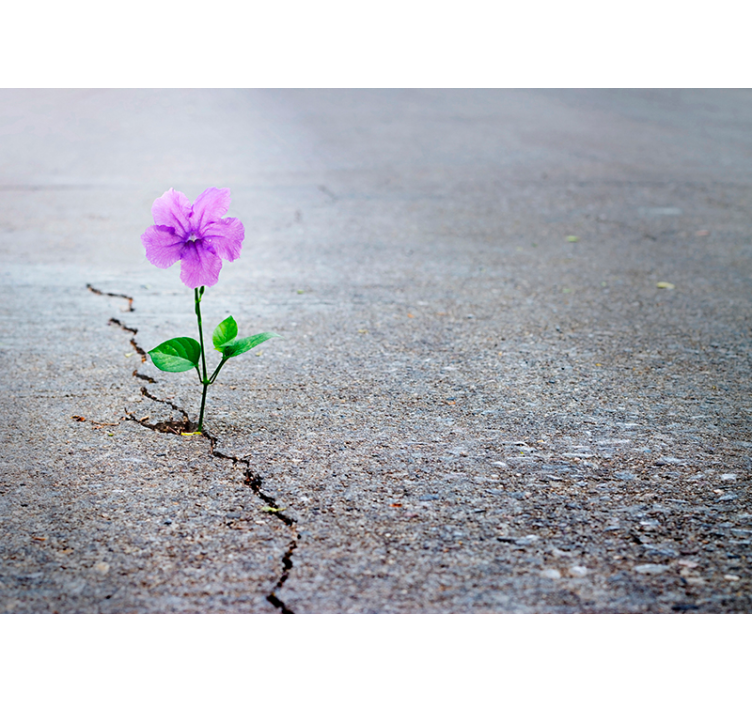 Mural de flores flor floreciente sobre fondo texturizado - TenVinilo