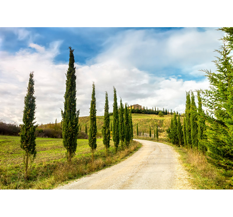 Mural de naturaleza fotomural paisaje colline toscane - TenVinilo