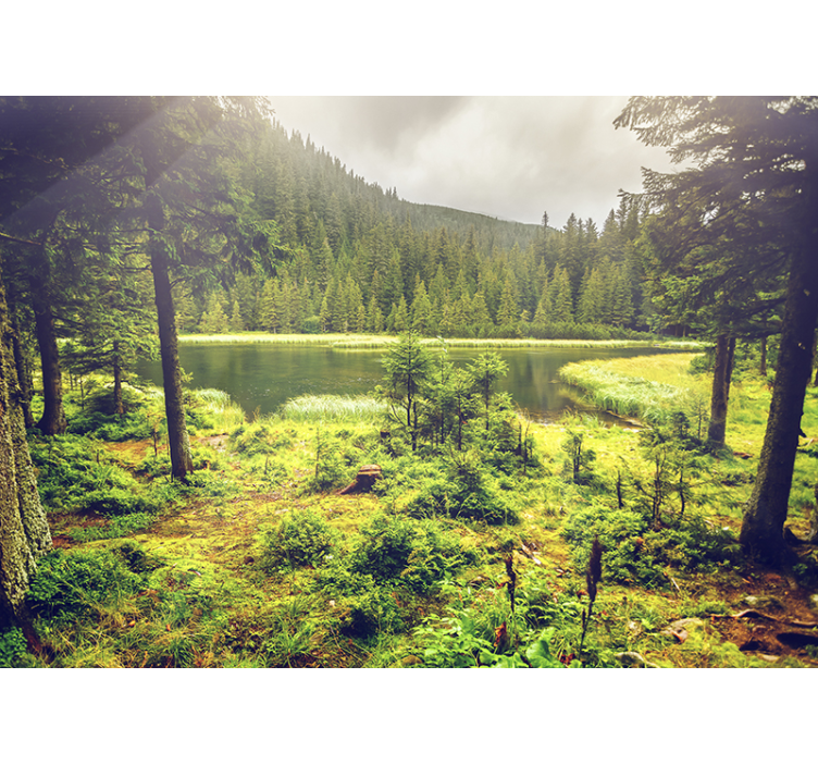 Papel pintado oficina paisaje bosque verde - TenVinilo