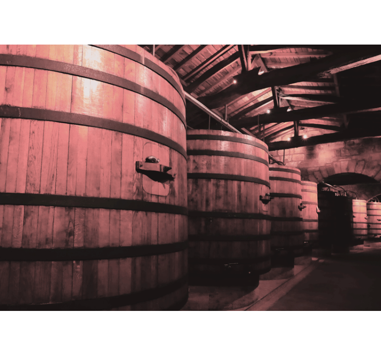 Fotomural retro Grandes barriles de vino viejos - TenVinilo
