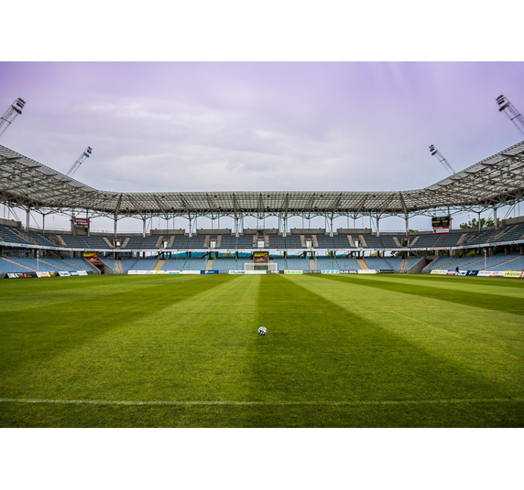 Murales para habitaciones Campo de fútbol - TenVinilo