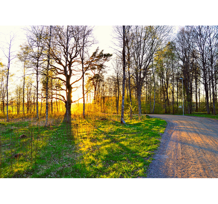 Fotomural naturaleza Parque verde banco - TenVinilo