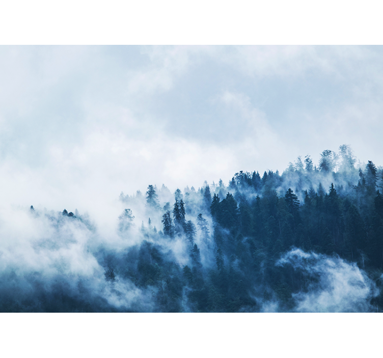 Mural de naturaleza paisaje nublado de bosque - TenVinilo