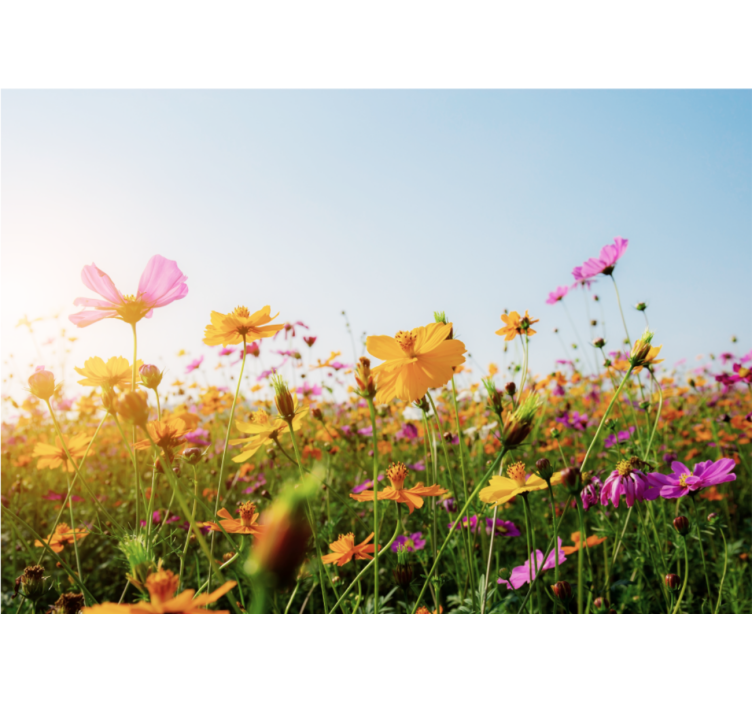 Fotomural flores Mezcla de tipos de flores - TenVinilo