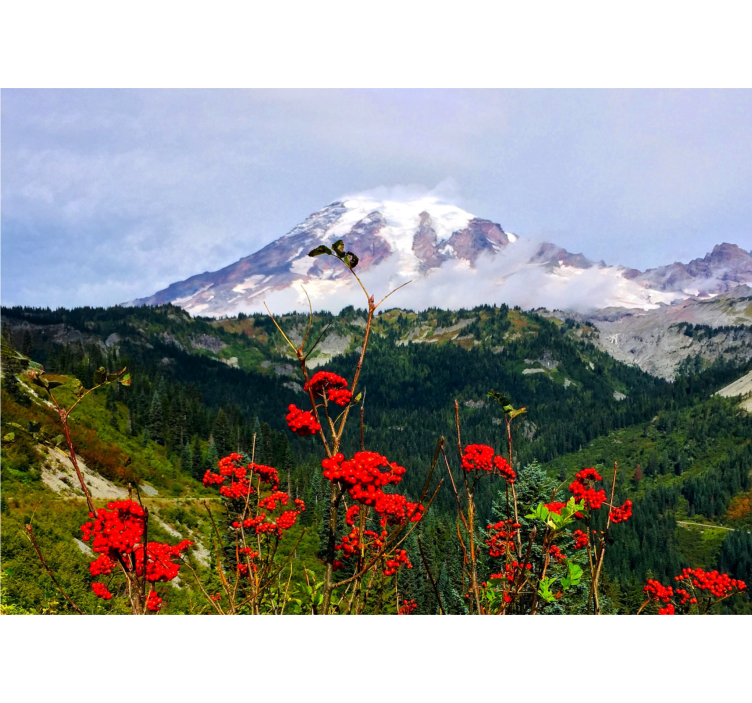 Fotomural flores Montaña y flores rojas - TenVinilo
