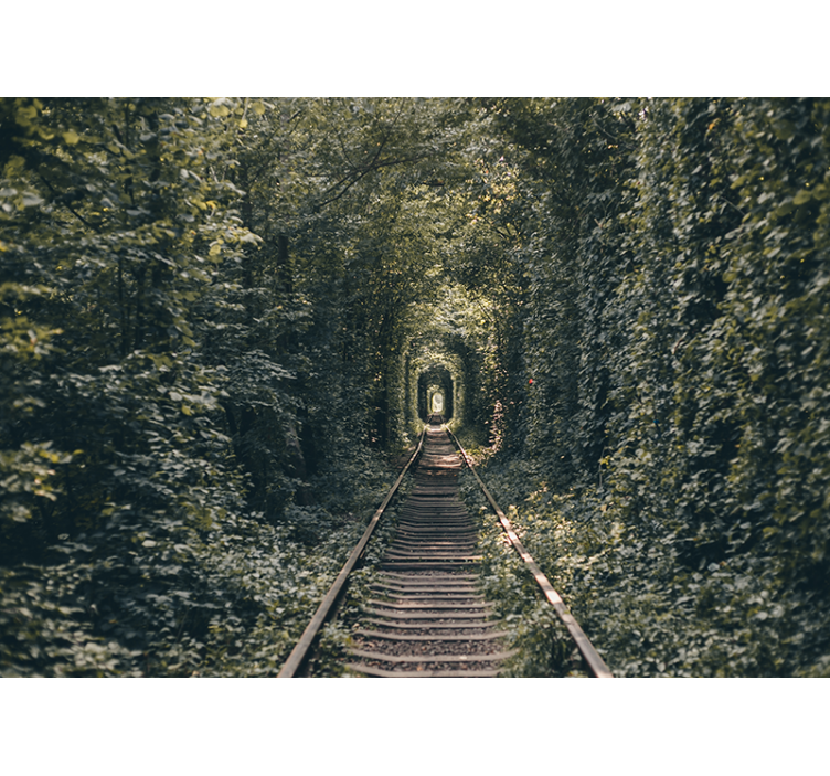 Mural de paisajes túnel ferroviario naturaleza - TenVinilo
