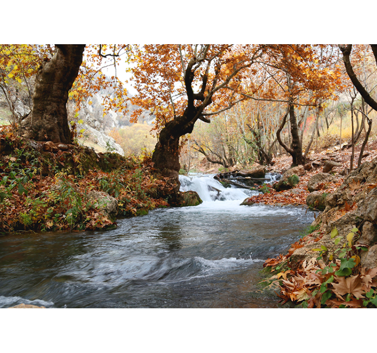Fotomural naturaleza Paisaje de otoño del río - TenVinilo
