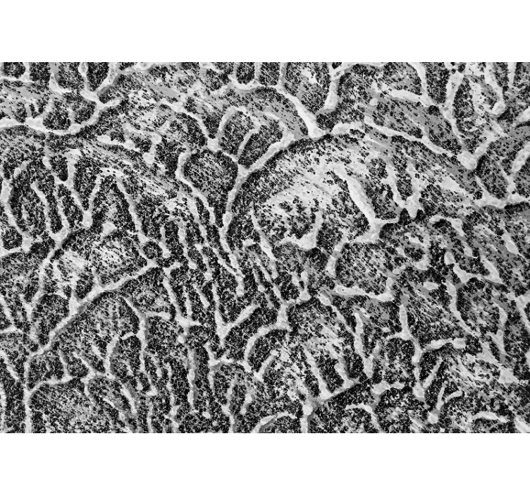 Mural de textura patrón de textura orgánica - TenVinilo