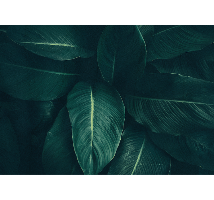 Fotomural naturaleza Grandes hojas verdes tropicales - TenVinilo