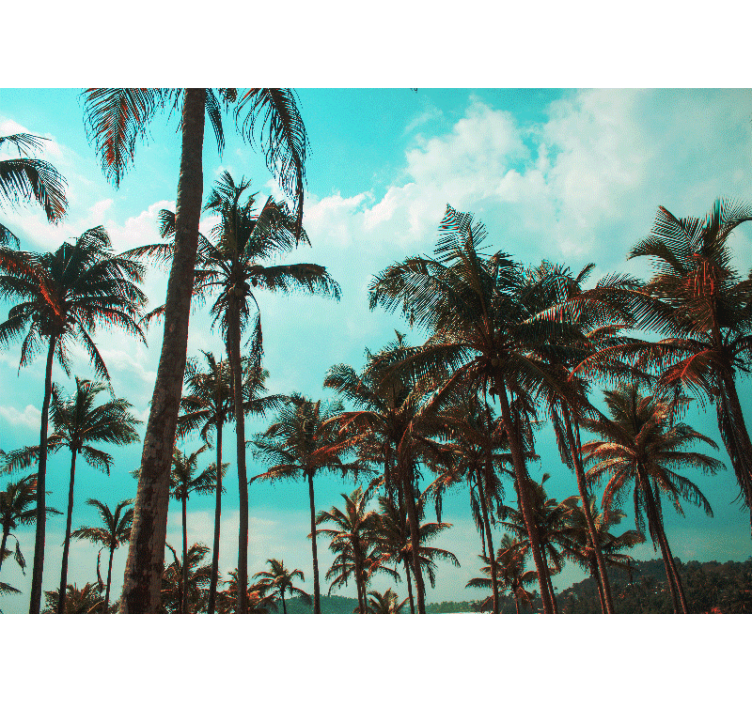 Mural para salón Hermosas palmeras paisaje tranquilo - TenVinilo