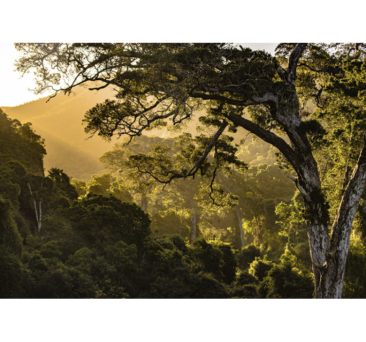 Mural de naturaleza paisaje boscoso verdeante - TenVinilo