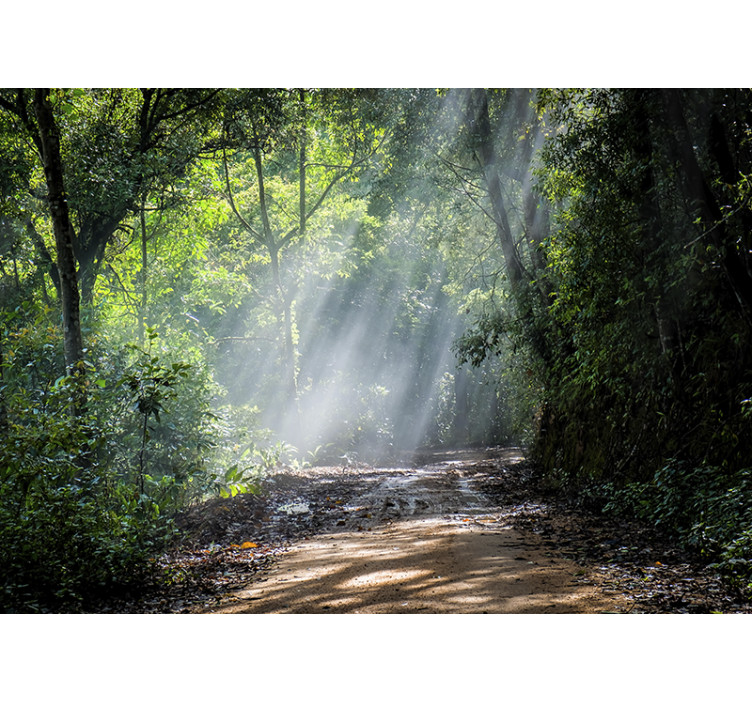 Mural de naturaleza sendero luminoso del bosque - TenVinilo