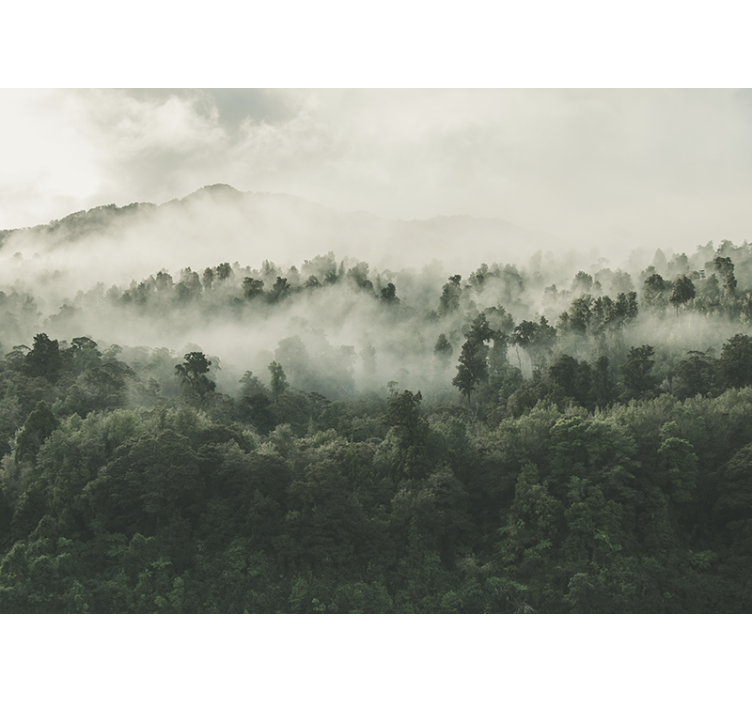 Mural de bosque niebla desde arriba - TenVinilo