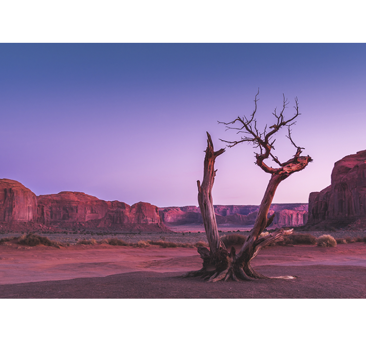 Mural de paisajes estructura de piedra del desierto - TenVinilo
