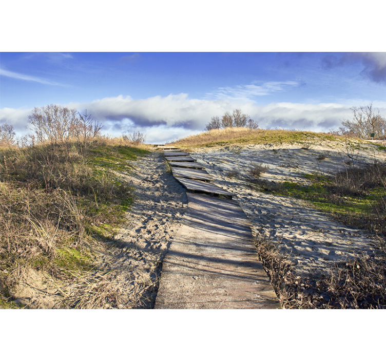 Mural de paisajes sendero de madera - TenVinilo