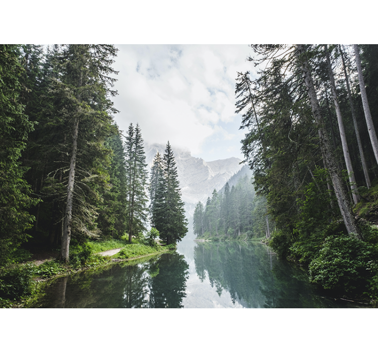 Mural de paisajes eco del bosque tranquilo - TenVinilo