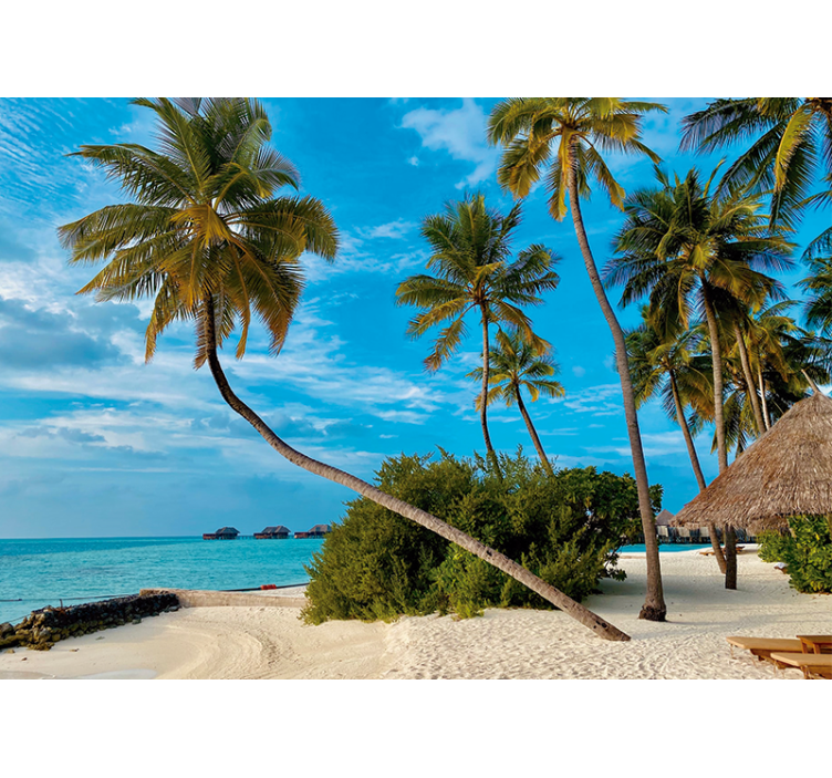 Mural de naturaleza paisaje de palmas tropicales - TenVinilo