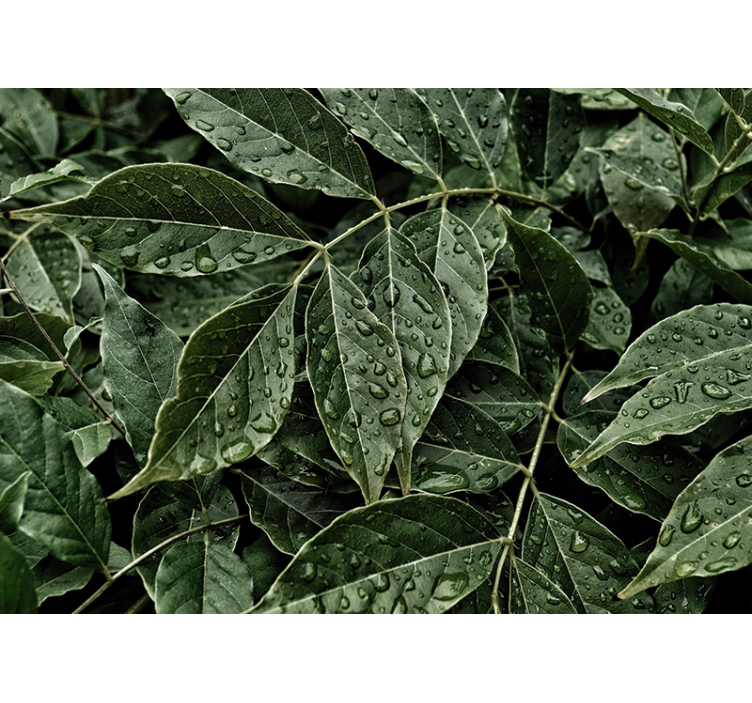 Mural de naturaleza follaje vibrante - TenVinilo