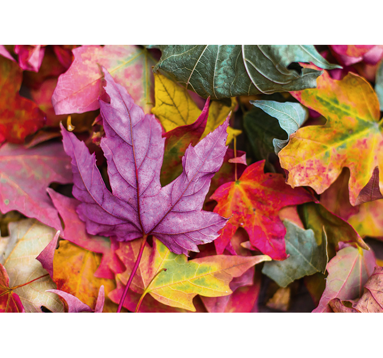 Mural de flores con patrones de hojas coloridas - TenVinilo