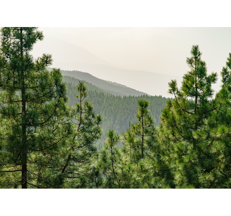Mural de naturaleza paisaje de vegetación exuberante - TenVinilo