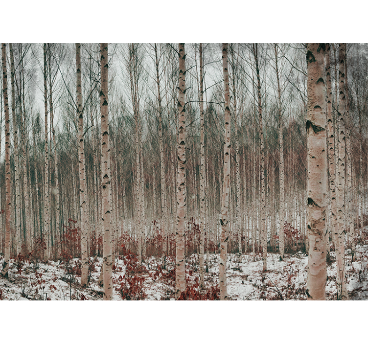 Mural de bosque paisaje de abetos - TenVinilo