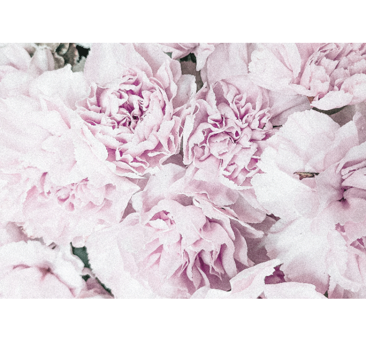 Mural de flores flores en rosa suave - TenVinilo
