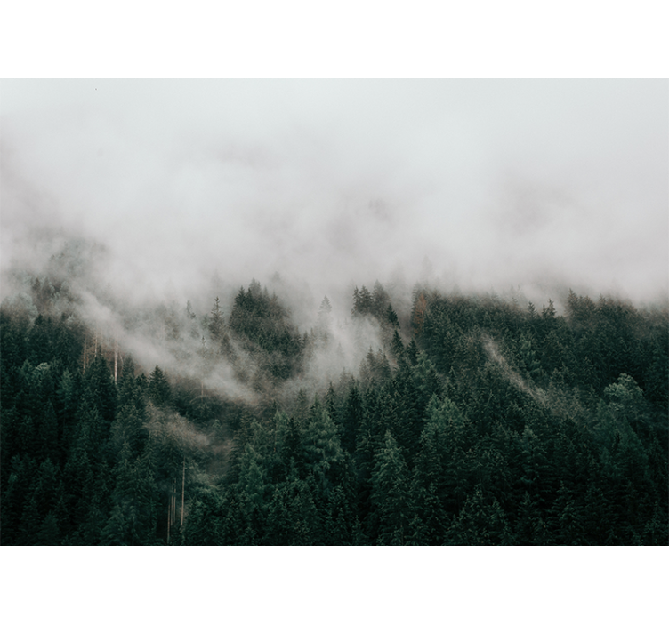 Mural de bosque paisaje de bosque nebuloso - TenVinilo